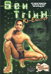 Sex Trixx - Re-Erected