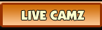 LIVE CAMZ