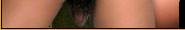 :: TRANNY CENTERFOLD :: Rated The Hottest Tranny Site Online