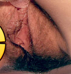Unshaven pubes, hairy pussy
